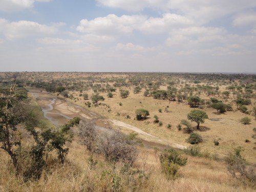 The great plains of Tarangire