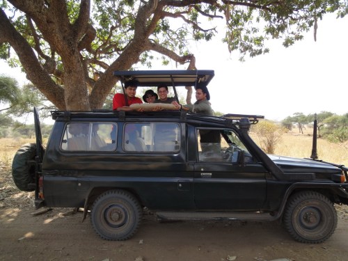 Our safari SUV
