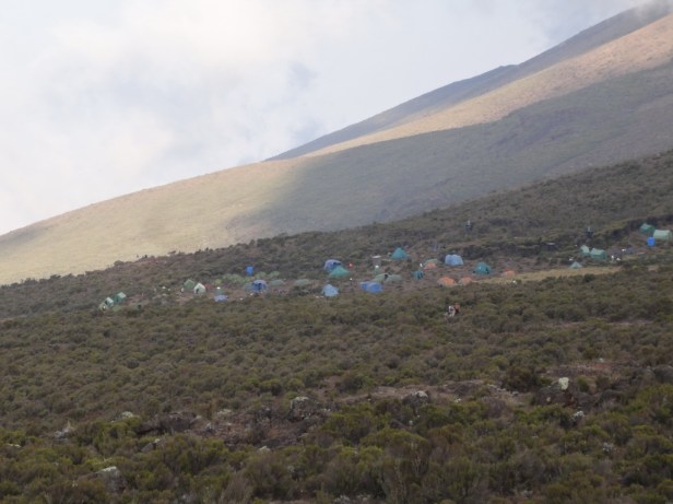 Kikelelwa Camp (3675m)
