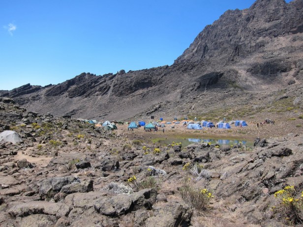 Mawenzi Camp (4302m)