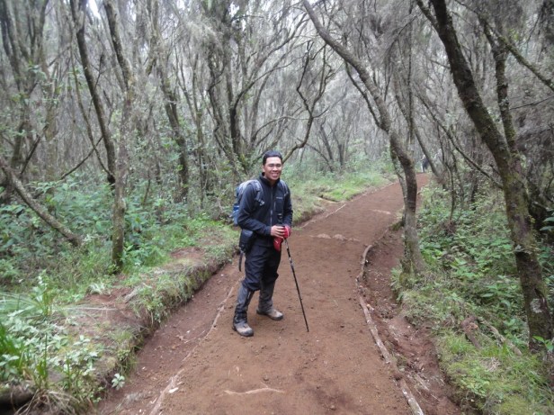 On the way to Marangu Gate