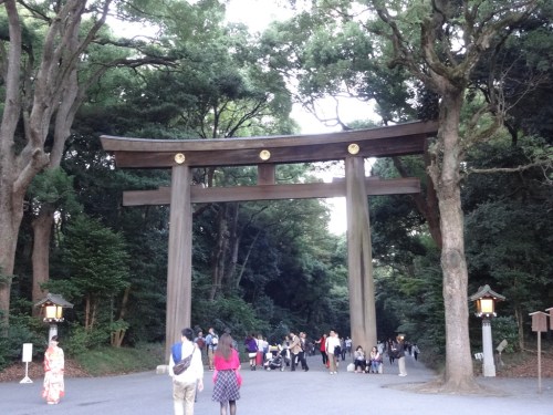 Meiji Shrine Torii