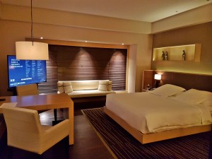 Park Hyatt room