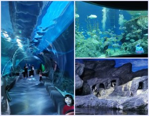 Bangkok Sea World