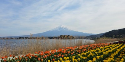 Mt Fuji