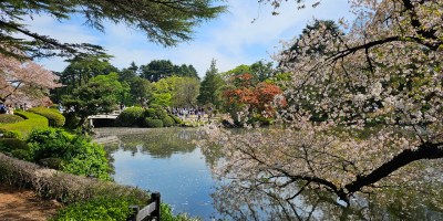 Shinjuku Gyoen